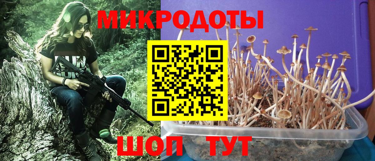 Галлюциногенные грибы мицелий  Вход с VPN  Батайск  цена   Галлюциногенные грибы Cubensis 